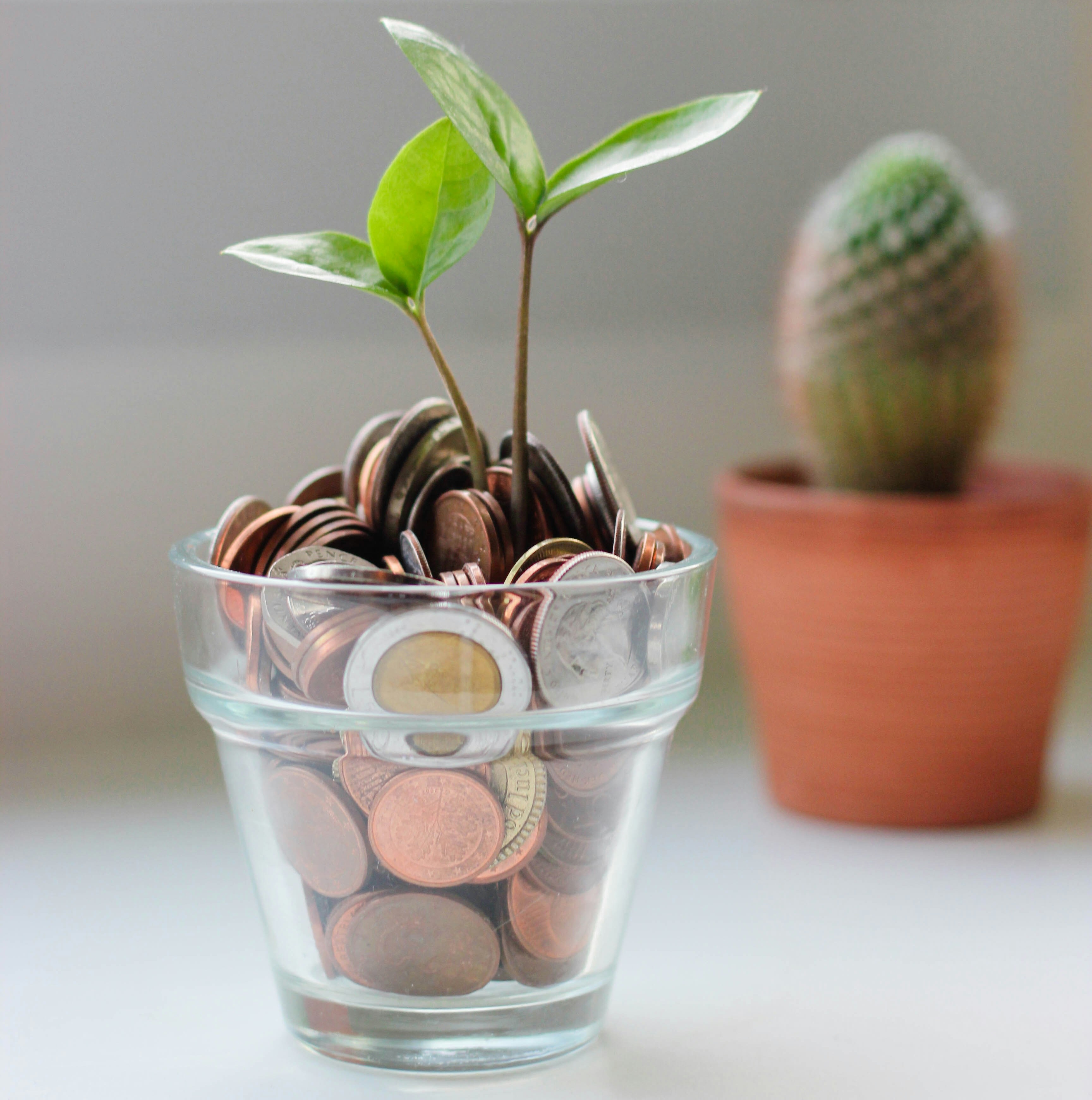 Save Money. Be Frugal!